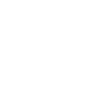 Sea Freight Icon